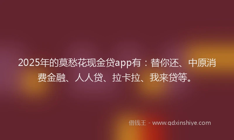 2025年的莫愁花现金贷app有：替你还、中原消费金融、人人贷、拉卡拉、我来贷等。