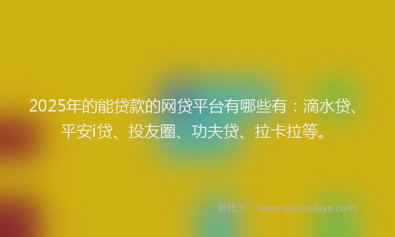 2025年的能贷款的网贷平台有哪些有：滴水贷、平安i贷、投友圈、功夫贷、拉卡拉等。