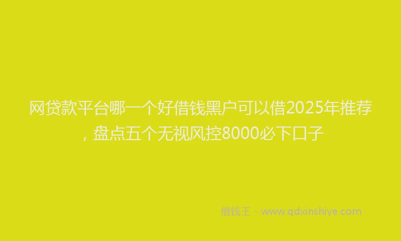 网贷款平台哪一个好借钱黑户可以借2025年推荐，盘点五个无视风控8000必下口子