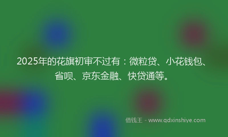 2025年的花旗初审不过有：微粒贷、小花钱包、省呗、京东金融、快贷通等。