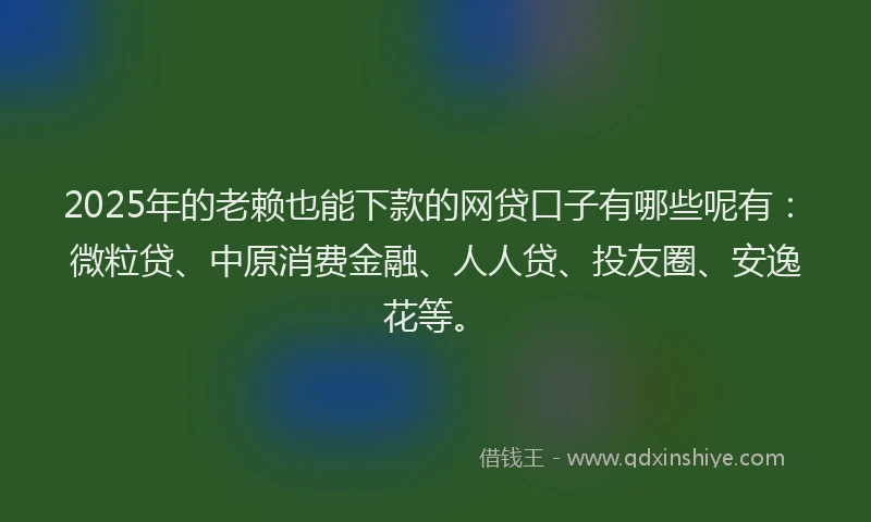 2025年的老赖也能下款的网贷口子有哪些呢有：微粒贷、中原消费金融、人人贷、投友圈、安逸花等。