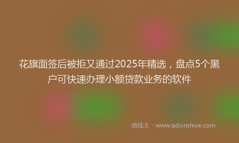 花旗面签后被拒又通过2025年精选，盘点5个黑户可快速办理小额贷款业务的软件