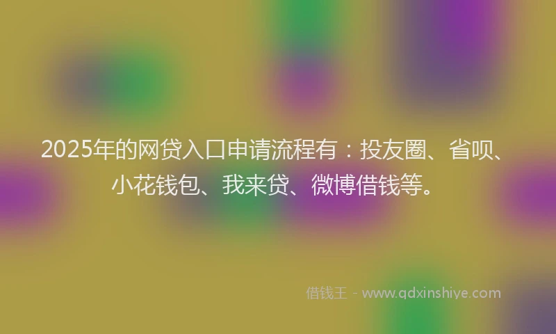 2025年的网贷入口申请流程有：投友圈、省呗、小花钱包、我来贷、微博借钱等。