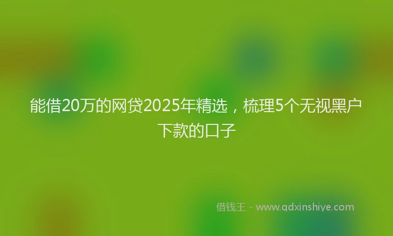 能借20万的网贷2025年精选，梳理5个无视黑户下款的口子