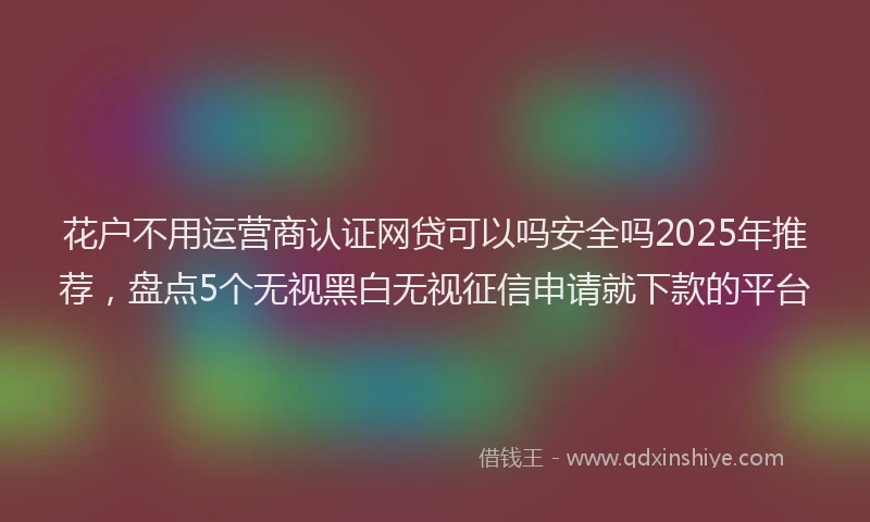 花户不用运营商认证网贷可以吗安全吗2025年推荐，盘点5个无视黑白无视征信申请就下款的平台
