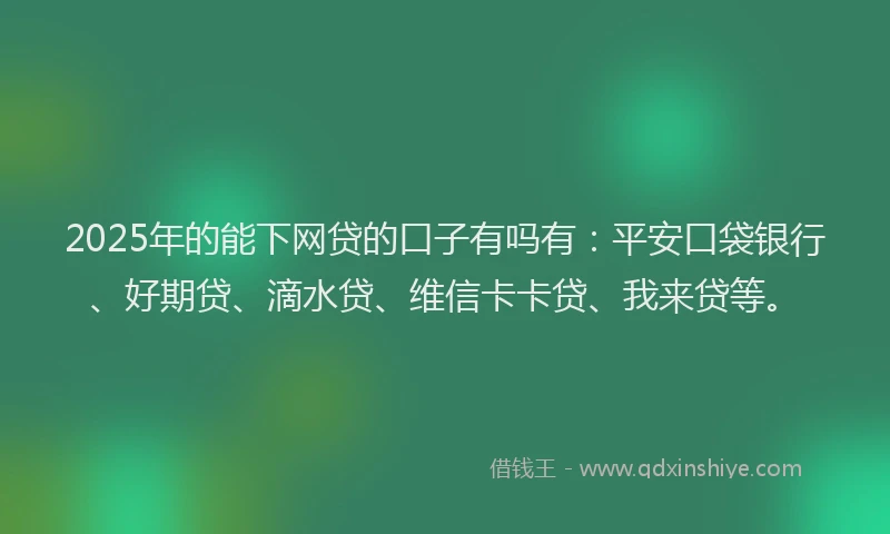 2025年的能下网贷的口子有吗有：平安口袋银行、好期贷、滴水贷、维信卡卡贷、我来贷等。