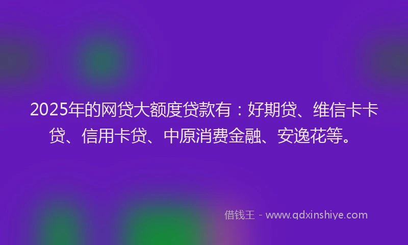 2025年的网贷大额度贷款有：好期贷、维信卡卡贷、信用卡贷、中原消费金融、安逸花等。