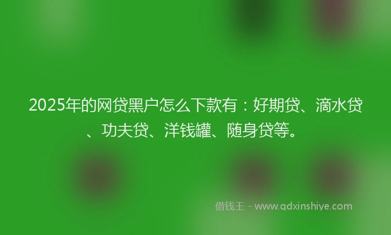 2025年的网贷黑户怎么下款有：好期贷、滴水贷、功夫贷、洋钱罐、随身贷等。