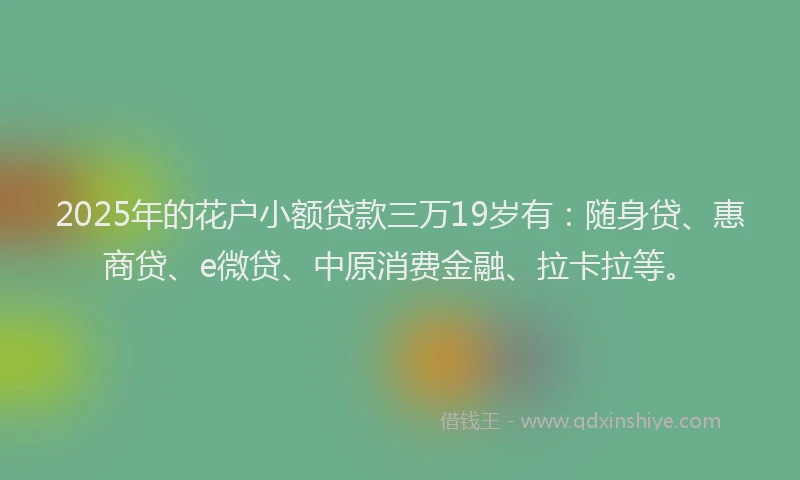 2025年的花户小额贷款三万19岁有：随身贷、惠商贷、e微贷、中原消费金融、拉卡拉等。