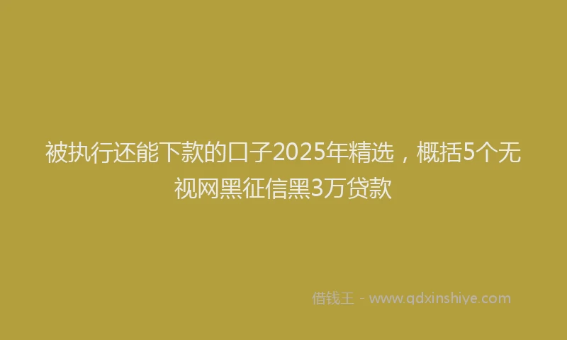 被执行还能下款的口子2025年精选，概括5个无视网黑征信黑3万贷款
