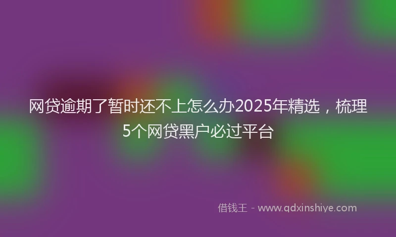 网贷逾期了暂时还不上怎么办2025年精选，梳理5个网贷黑户必过平台