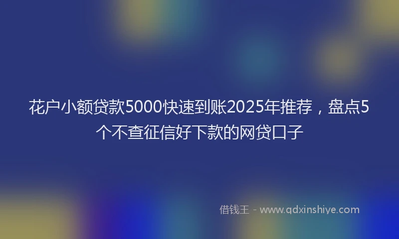 花户小额贷款5000快速到账2025年推荐，盘点5个不查征信好下款的网贷口子