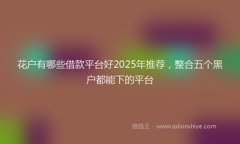 花户有哪些借款平台好2025年推荐，整合五个黑户都能下的平台