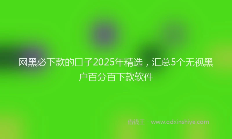 网黑必下款的口子2025年精选，汇总5个无视黑户百分百下款软件