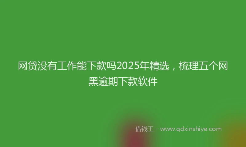 网贷没有工作能下款吗2025年精选，梳理五个网黑逾期下款软件