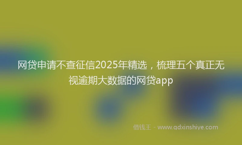 网贷申请不查征信2025年精选，梳理五个真正无视逾期大数据的网贷app