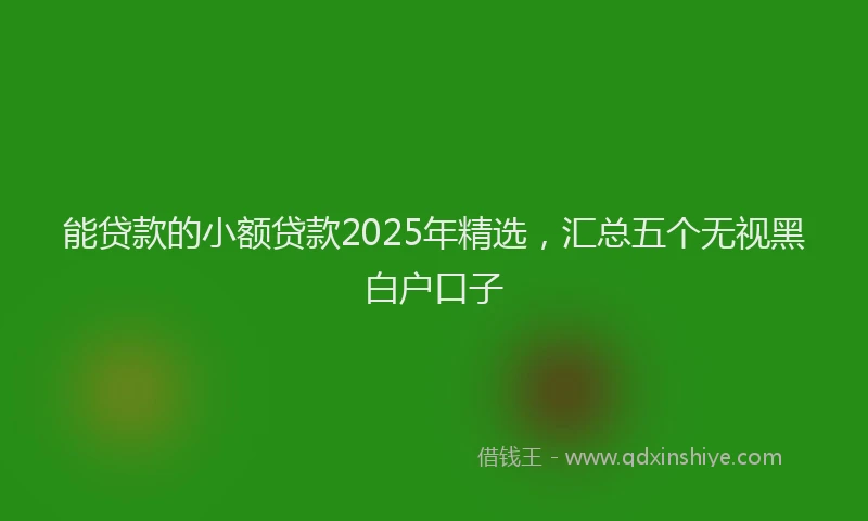 能贷款的小额贷款2025年精选，汇总五个无视黑白户口子