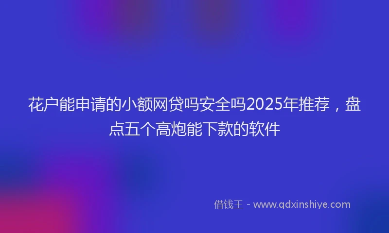 花户能申请的小额网贷吗安全吗2025年推荐，盘点五个高炮能下款的软件