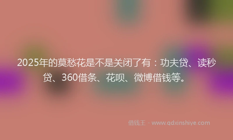 2025年的莫愁花是不是关闭了有：功夫贷、读秒贷、360借条、花呗、微博借钱等。