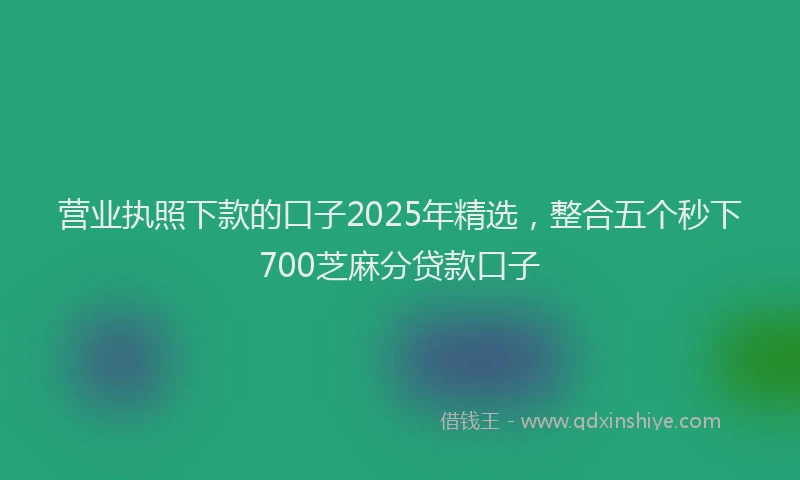 营业执照下款的口子2025年精选，整合五个秒下700芝麻分贷款口子