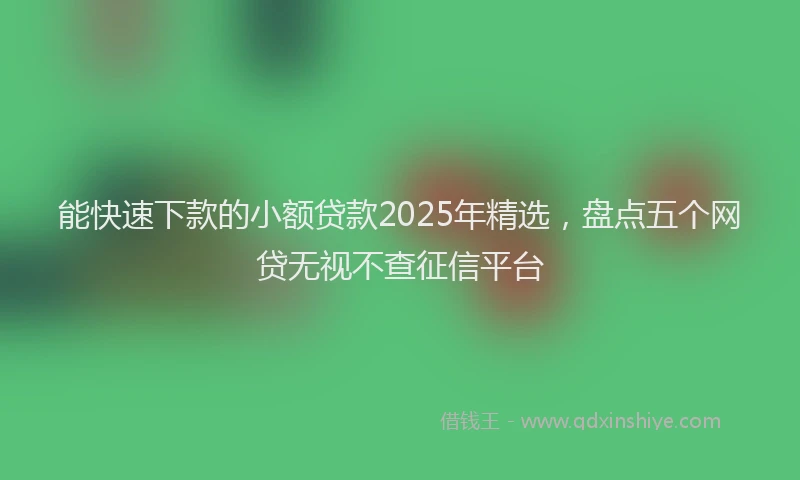 能快速下款的小额贷款2025年精选，盘点五个网贷无视不查征信平台