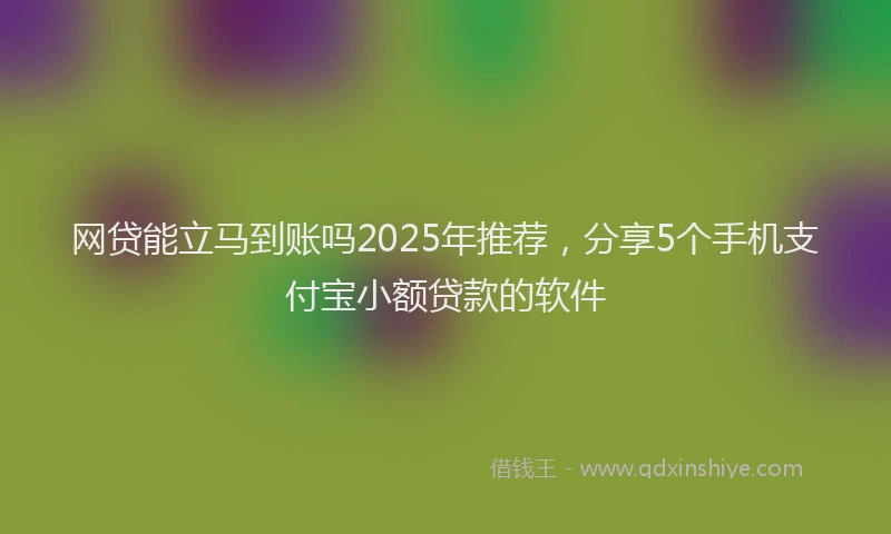 网贷能立马到账吗2025年推荐，分享5个手机支付宝小额贷款的软件