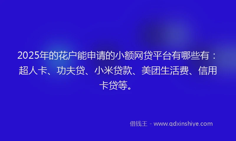 2025年的花户能申请的小额网贷平台有哪些有：超人卡、功夫贷、小米贷款、美团生活费、信用卡贷等。
