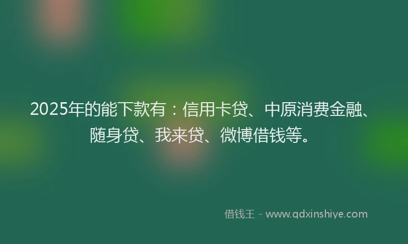 2025年的能下款有：信用卡贷、中原消费金融、随身贷、我来贷、微博借钱等。