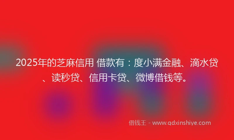 2025年的芝麻信用 借款有：度小满金融、滴水贷、读秒贷、信用卡贷、微博借钱等。