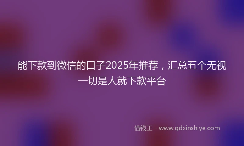 能下款到微信的口子2025年推荐，汇总五个无视一切是人就下款平台