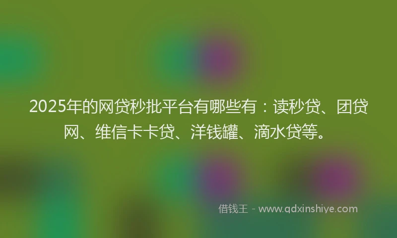 2025年的网贷秒批平台有哪些有：读秒贷、团贷网、维信卡卡贷、洋钱罐、滴水贷等。