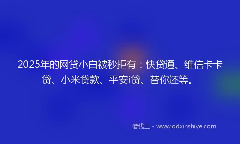 2025年的网贷小白被秒拒有：快贷通、维信卡卡贷、小米贷款、平安i贷、替你还等。