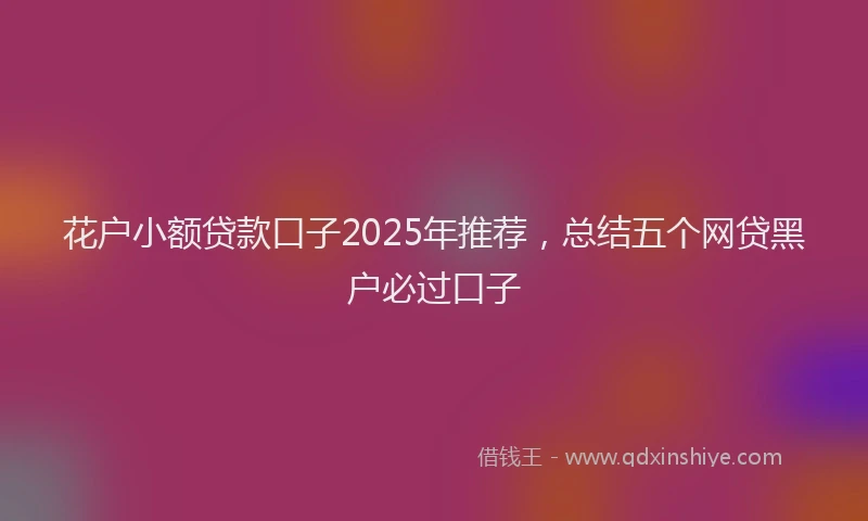 花户小额贷款口子2025年推荐，总结五个网贷黑户必过口子