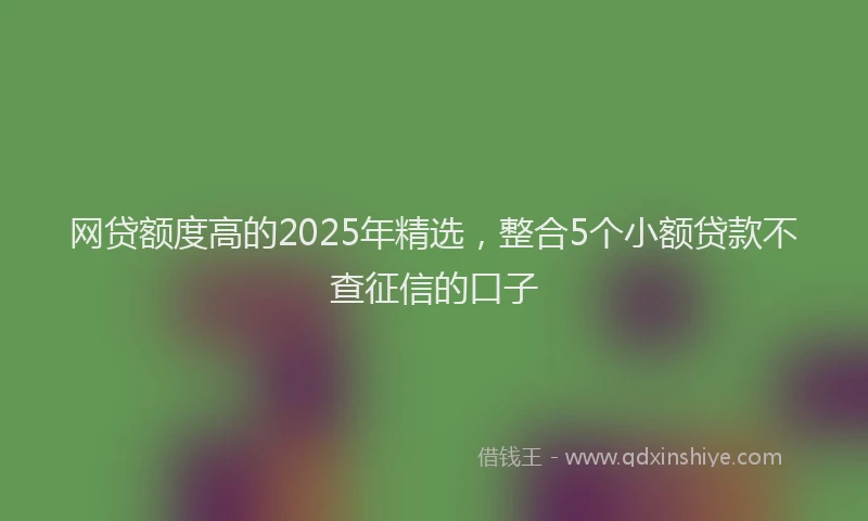 网贷额度高的2025年精选，整合5个小额贷款不查征信的口子
