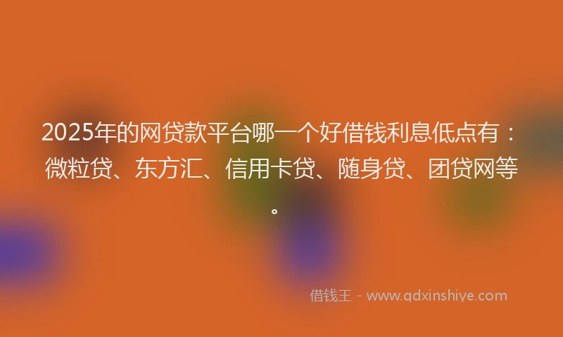 2025年的网贷款平台哪一个好借钱利息低点有：微粒贷、东方汇、信用卡贷、随身贷、团贷网等。