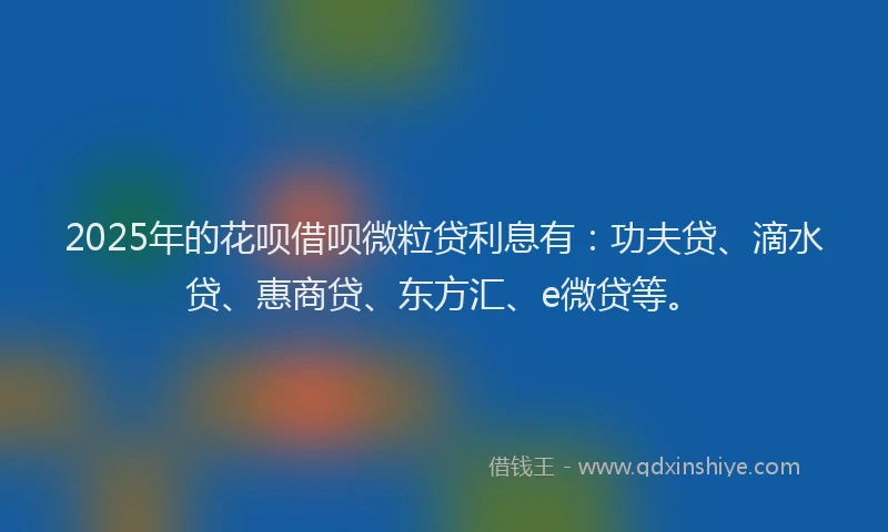 2025年的花呗借呗微粒贷利息有：功夫贷、滴水贷、惠商贷、东方汇、e微贷等。