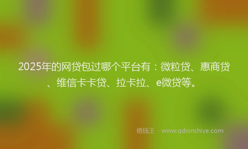 2025年的网贷包过哪个平台有：微粒贷、惠商贷、维信卡卡贷、拉卡拉、e微贷等。