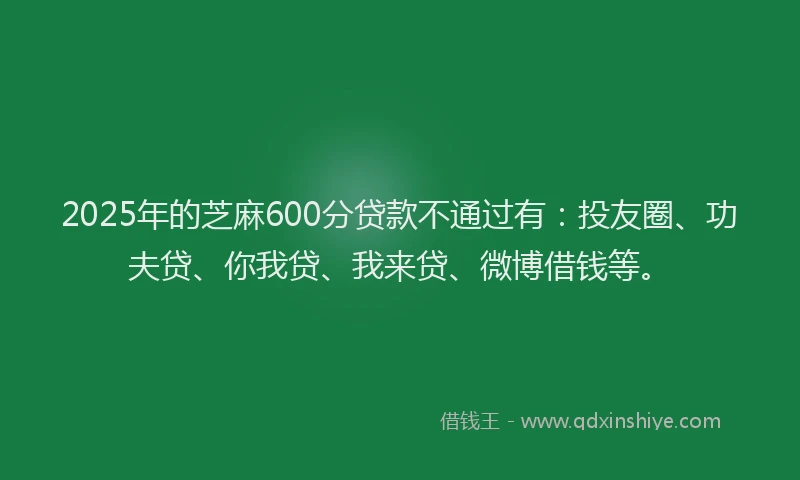 2025年的芝麻600分贷款不通过有：投友圈、功夫贷、你我贷、我来贷、微博借钱等。