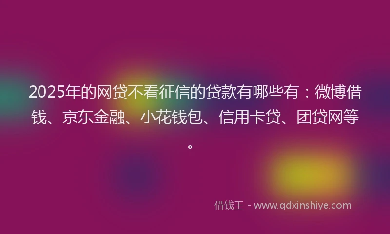 2025年的网贷不看征信的贷款有哪些有：微博借钱、京东金融、小花钱包、信用卡贷、团贷网等。