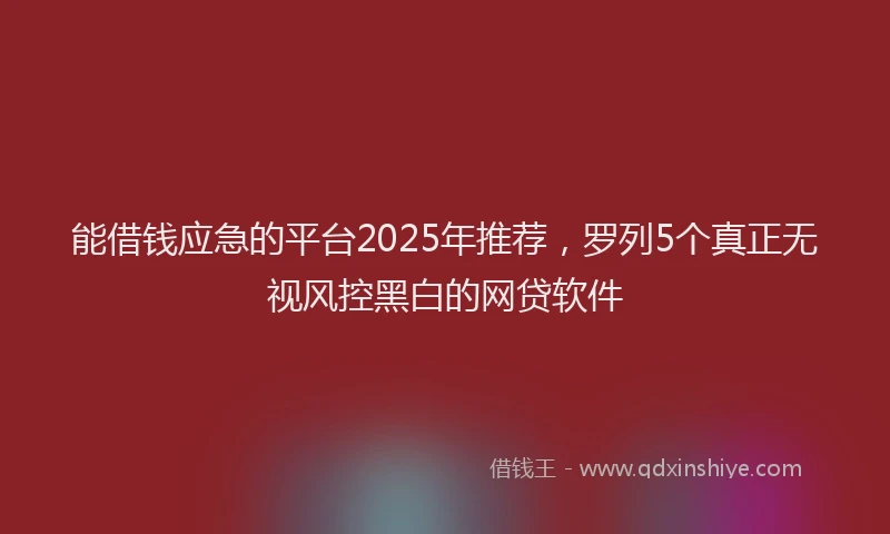 能借钱应急的平台2025年推荐，罗列5个真正无视风控黑白的网贷软件