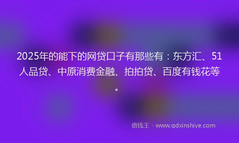 2025年的能下的网贷口子有那些有：东方汇、51人品贷、中原消费金融、拍拍贷、百度有钱花等。