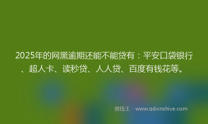 2025年的网黑逾期还能不能贷有：平安口袋银行、超人卡、读秒贷、人人贷、百度有钱花等。