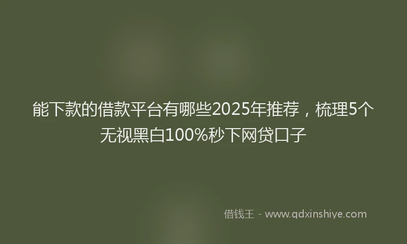 能下款的借款平台有哪些2025年推荐，梳理5个无视黑白100%秒下网贷口子