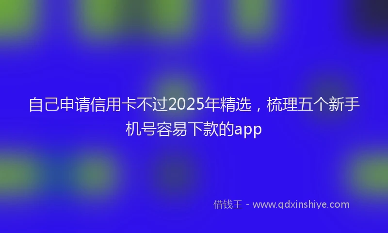 自己申请信用卡不过2025年精选，梳理五个新手机号容易下款的app