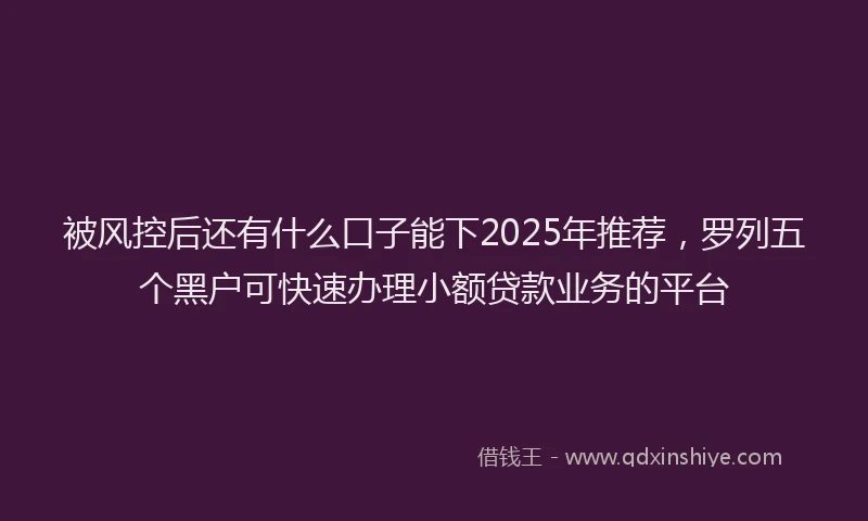 被风控后还有什么口子能下2025年推荐，罗列五个黑户可快速办理小额贷款业务的平台