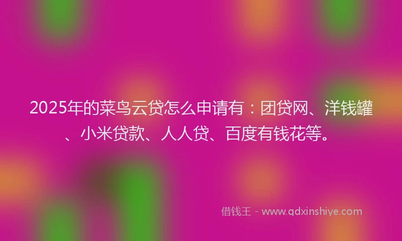 2025年的菜鸟云贷怎么申请有：团贷网、洋钱罐、小米贷款、人人贷、百度有钱花等。