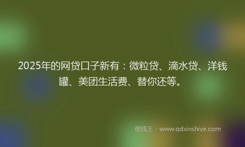 2025年的网贷口子新有：微粒贷、滴水贷、洋钱罐、美团生活费、替你还等。