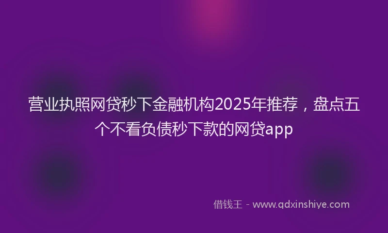 营业执照网贷秒下金融机构2025年推荐，盘点五个不看负债秒下款的网贷app