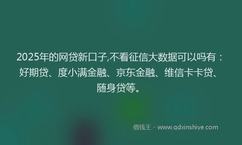2025年的网贷新口子,不看征信大数据可以吗有：好期贷、度小满金融、京东金融、维信卡卡贷、随身贷等。