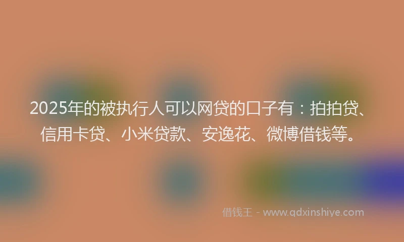 2025年的被执行人可以网贷的口子有：拍拍贷、信用卡贷、小米贷款、安逸花、微博借钱等。